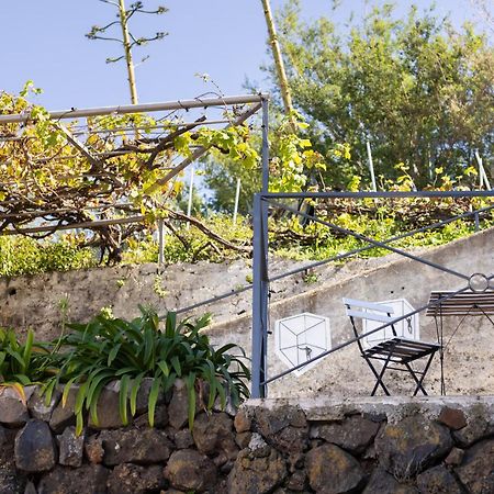 Ek Las Vistas Finca El Milagro La Orotava Exteriör bild