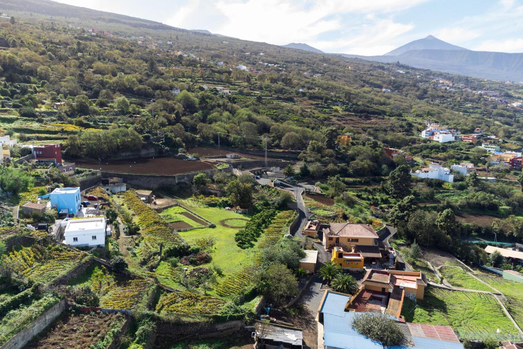 Ek Las Vistas Finca El Milagro La Orotava Exteriör bild