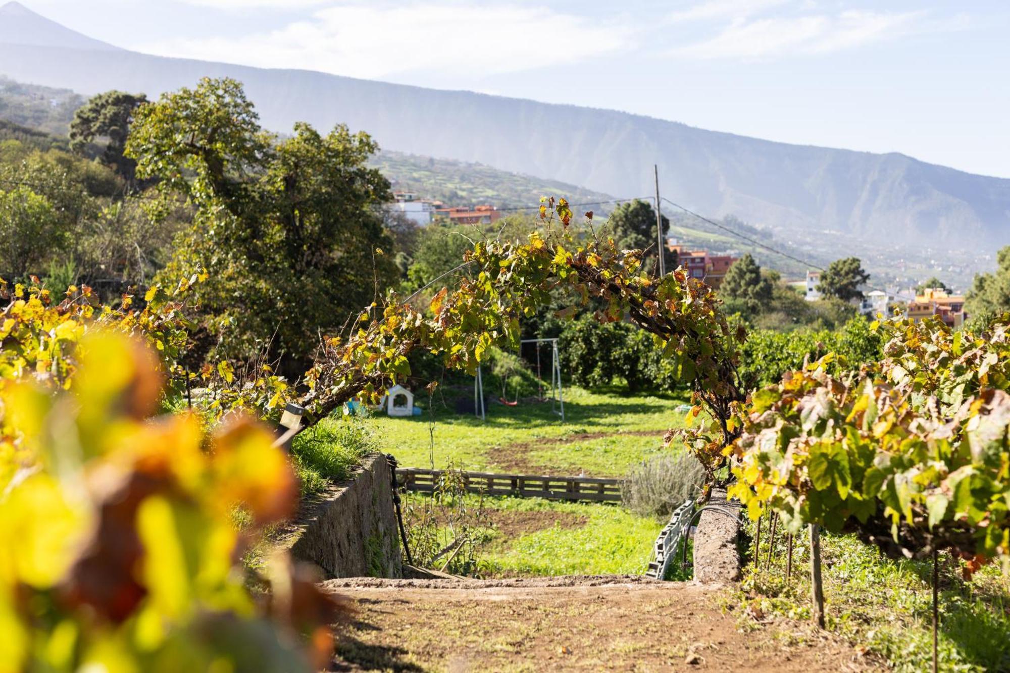 Ek Las Vistas Finca El Milagro La Orotava Exteriör bild
