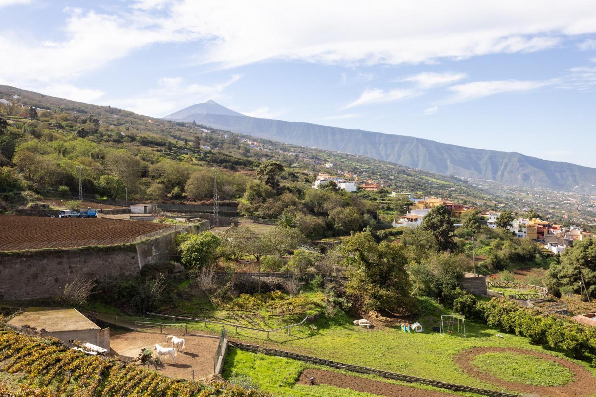 Ek Las Vistas Finca El Milagro La Orotava Exteriör bild