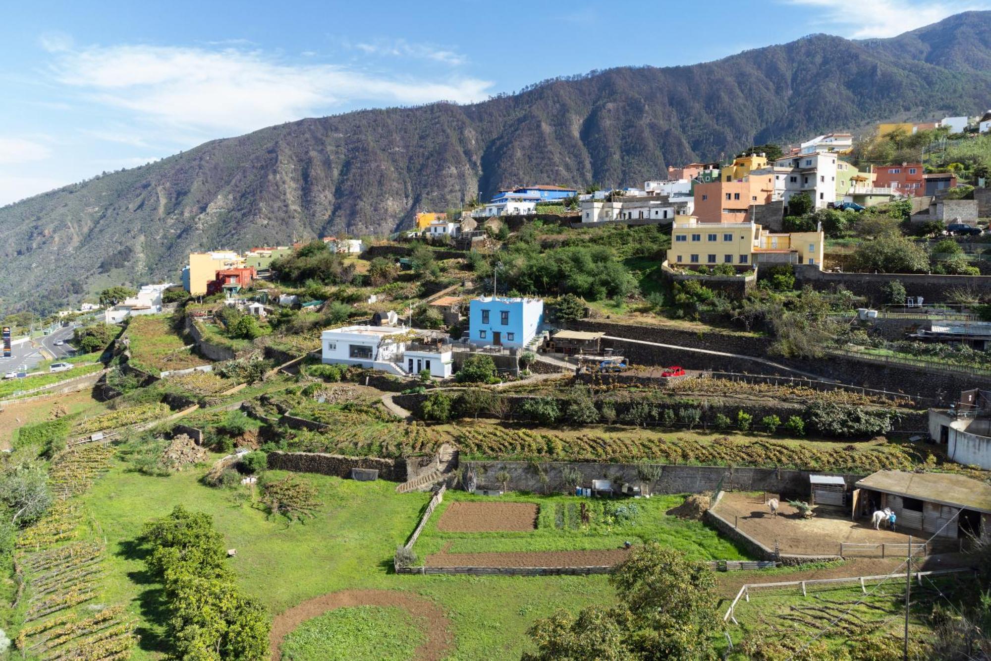 Ek Las Vistas Finca El Milagro La Orotava Exteriör bild
