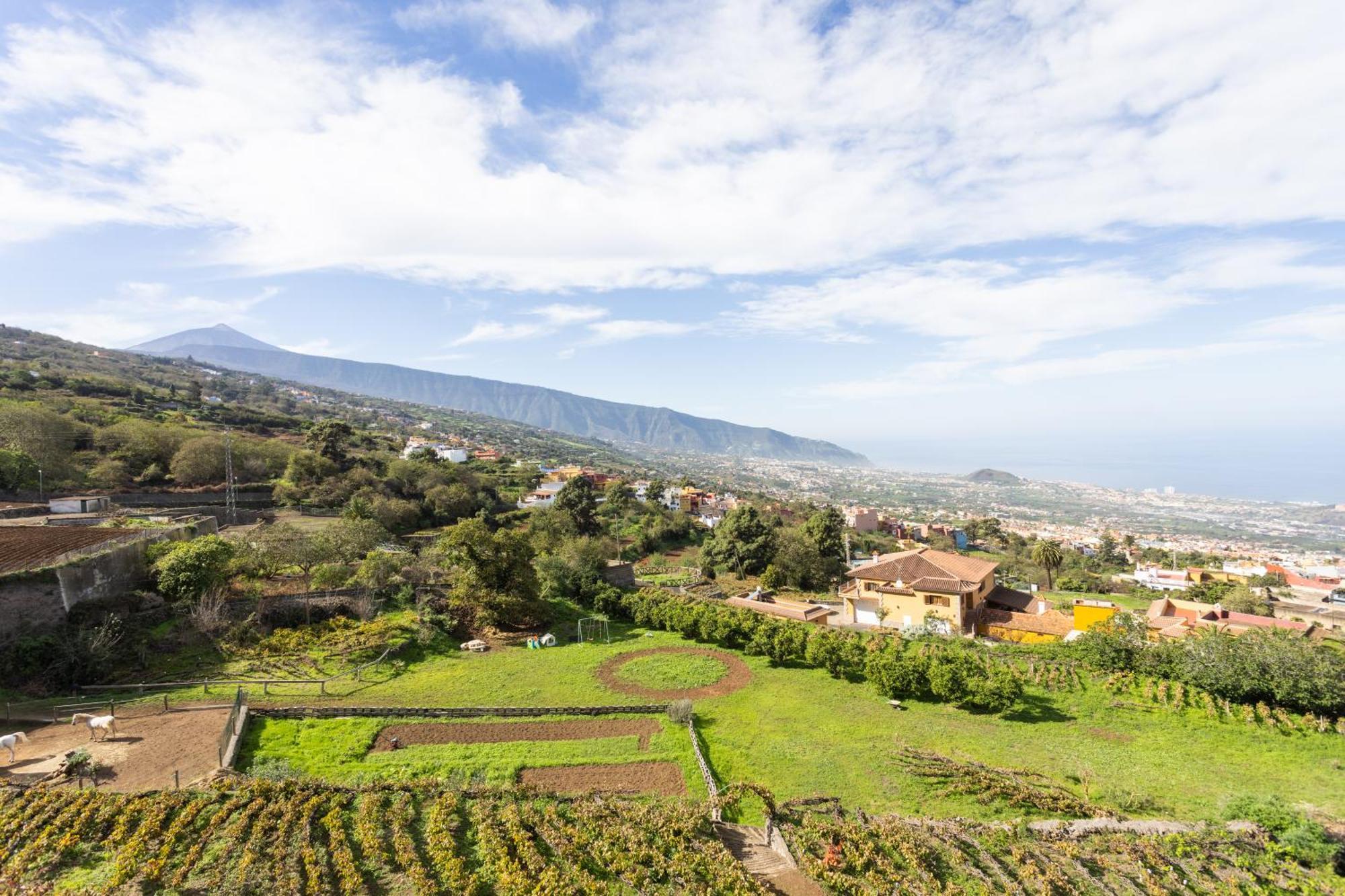 Ek Las Vistas Finca El Milagro La Orotava Exteriör bild