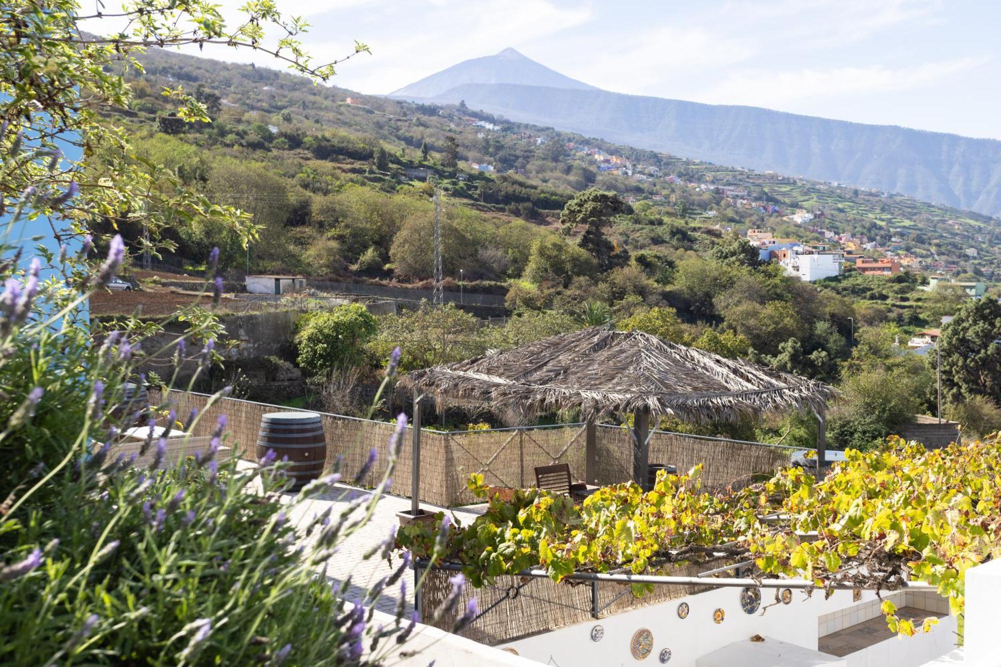 Ek Las Vistas Finca El Milagro La Orotava Exteriör bild